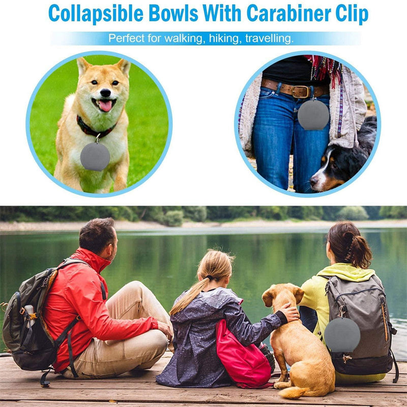 Double Sided Foldable Rubber Pet Feeding Bowl for (On the Go) 