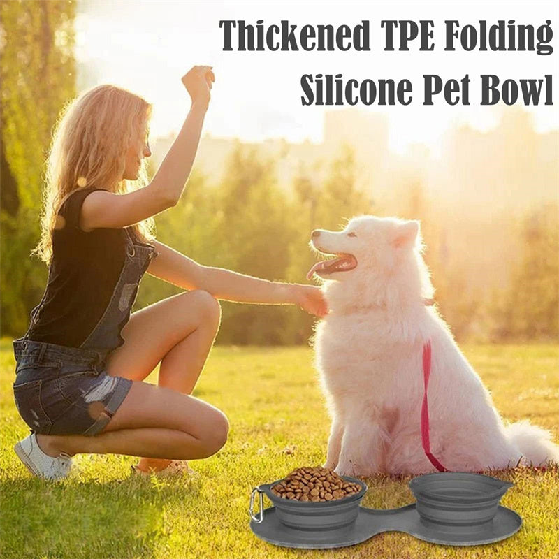 Double Sided Foldable Rubber Pet Feeding Bowl for (On the Go) 