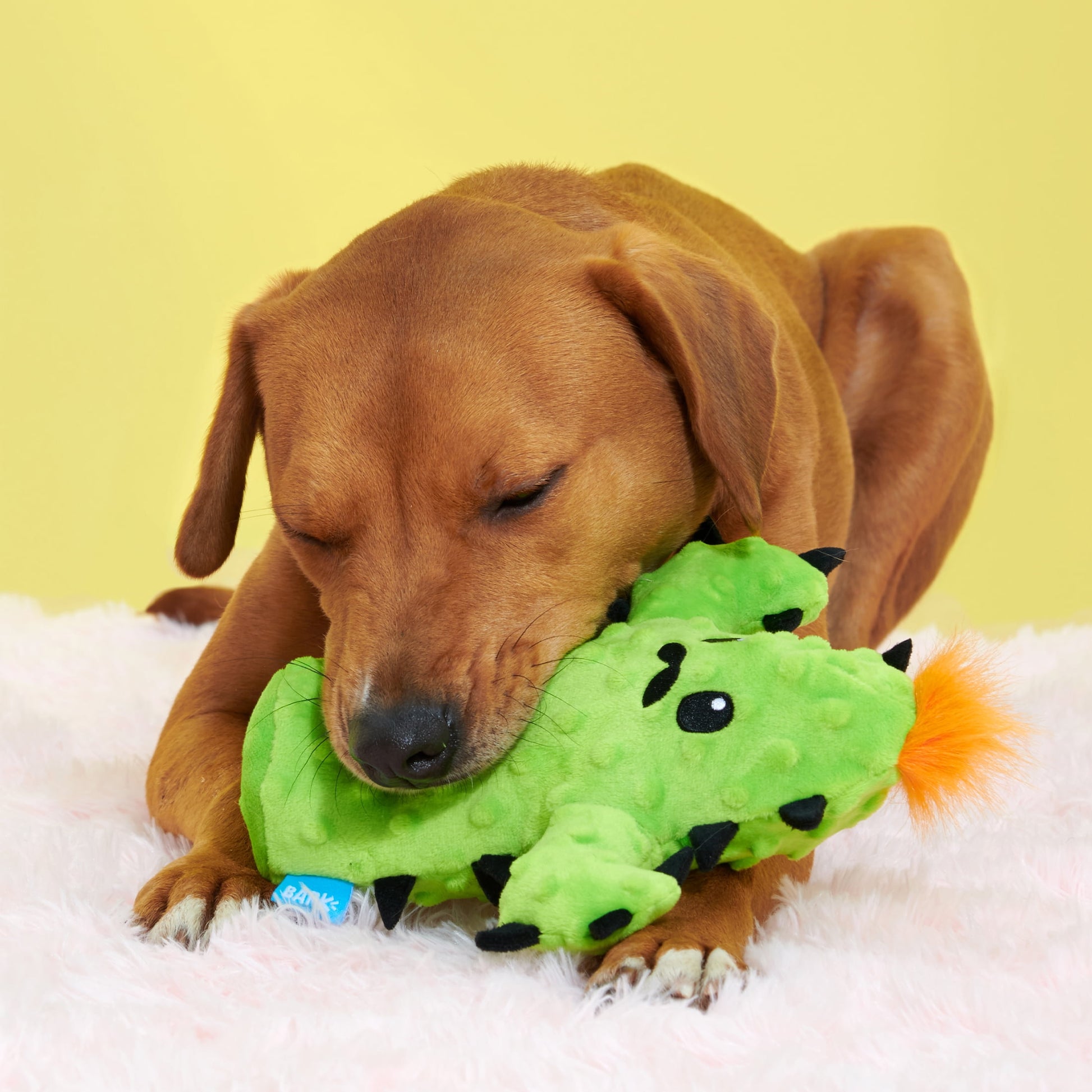 Prickly Pete Dog Toy - Features Surprise Squeaker Toy, Xs to Small Dogs