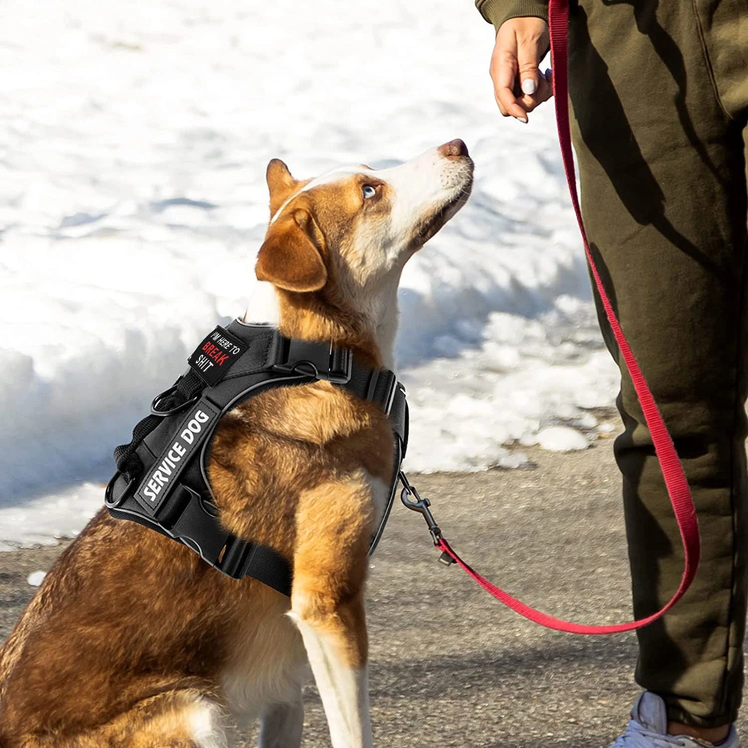 Dog Harness No Pull Reflective Tactical Harness Vest for Small Large Pet Dogs Walking Training Outdoor Dog Supplies Free Patches