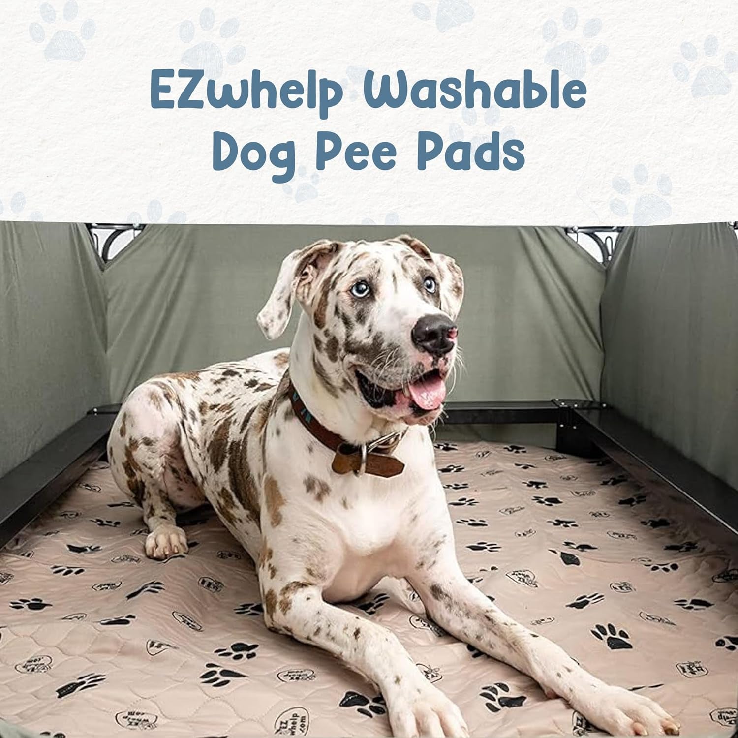  Washable Waterproof Mats for Potty Training or Whelping Pads 16.5X19.5 Inch, 2 Pack