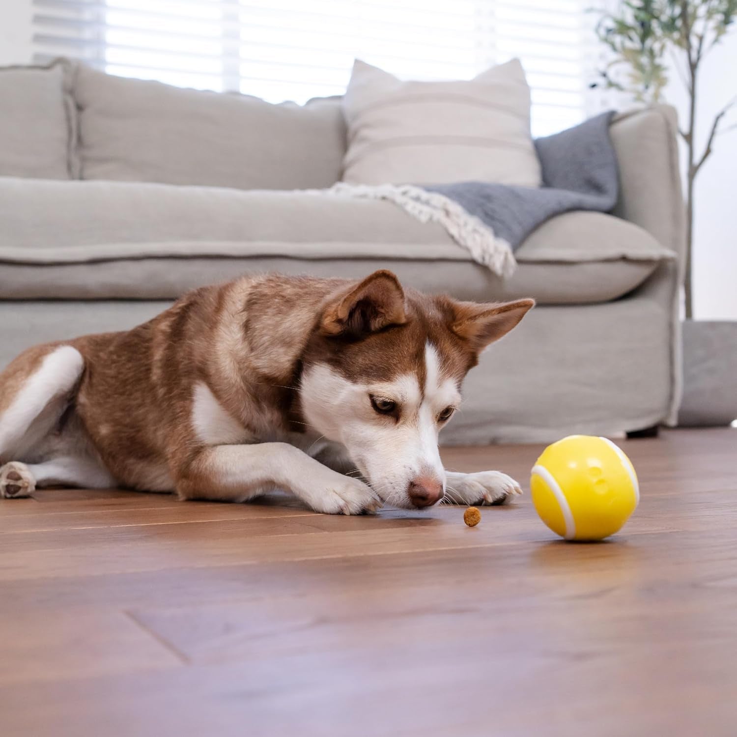 Sport Ballz Tennis Ball Treat-Dispensing Fetch Ball Dog Toy