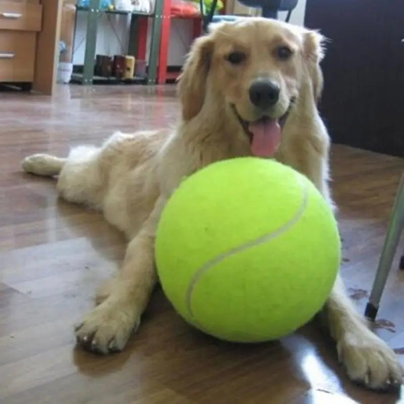   Giant Dog Tennis Ball Chewing Toy Signature Mega Jumbo Dog Ball 