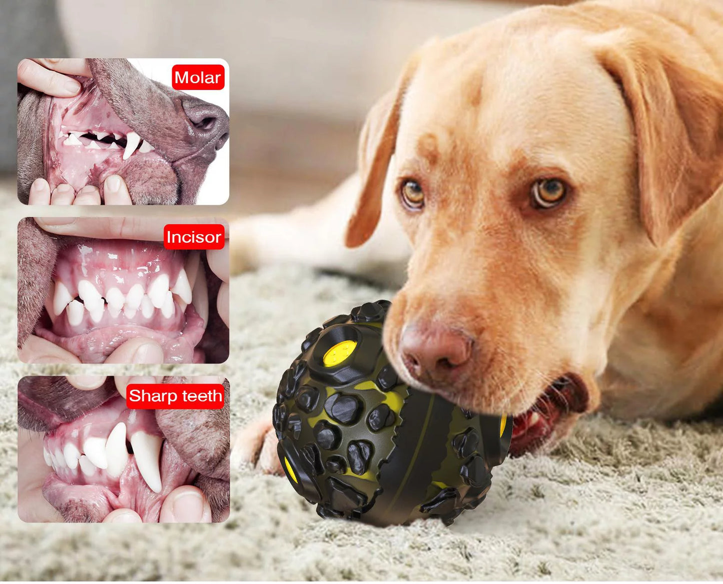 Dog Squeaky Toys Ball for Aggressive Chewers, Durable Tough Chew Toys for Teeth Cleaning