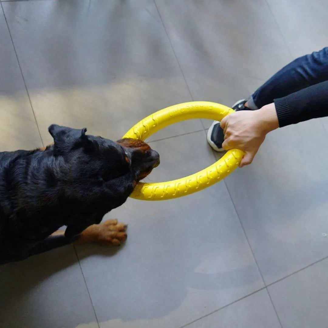 Dog Ring Indestructible Chew Toy, Throwing, Flying, Catching, Floating and Training great for Fetch all size Dogs 